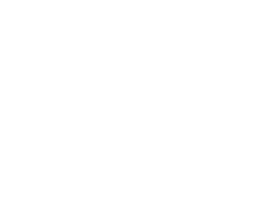 berryroofingsolutions logo upscaled white